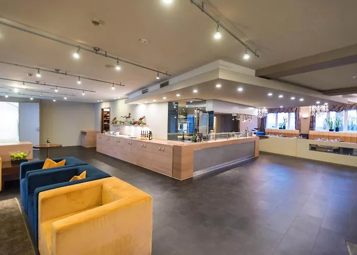 Silicium Szálloda Höhr-Grenzhausen